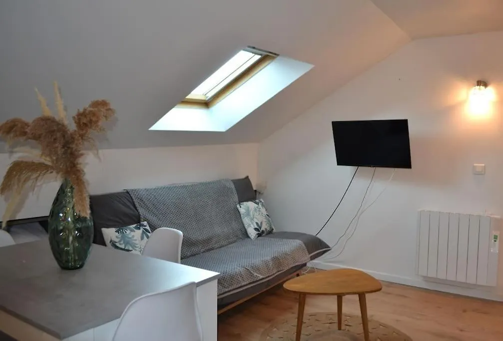 Apartment Appartement Le Filaterie Sous Les Toits Annecy