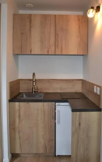 Appartement Le Filaterie Sous Les Toits آنسي شقة